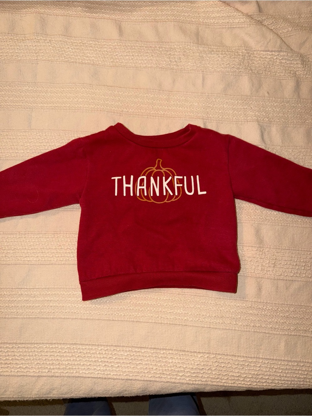 Baby/ Toddler 'Thankful' Burgundy Long-Sleeve Pullover Sweatshirt